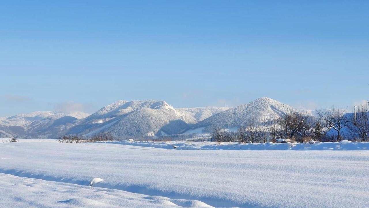 Vila Doliny Kunfalva Kültér fotó